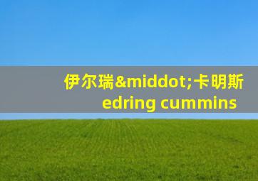 伊尔瑞·卡明斯edring cummins